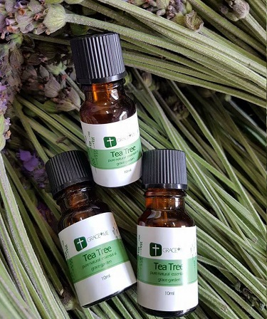 【GRACE+ME葛瑞絲】茶樹精油 10ml